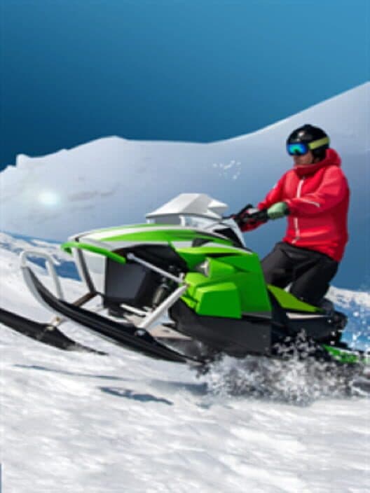Ski Drive: Biathlon