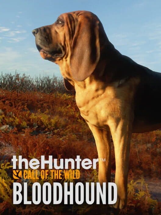 Jaquette de TheHunter: Call of the Wild - Bloodhound