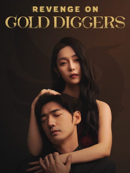 Jaquette de Revenge on gold diggers