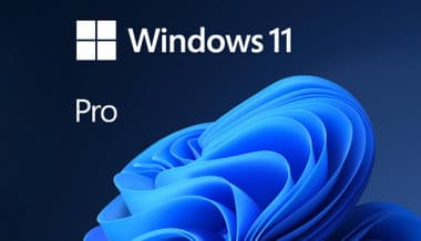 Windows 11 Pro