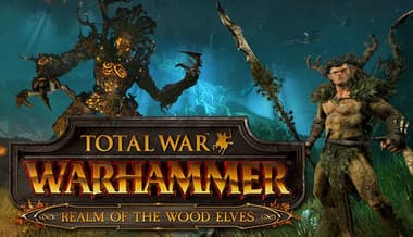 Jaquette de Total War: Warhammer - Realm of the Wood Elves