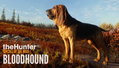 Jaquette de TheHunter: Call of the Wild - Bloodhound