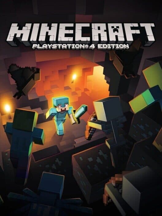 Jaquette de Minecraft